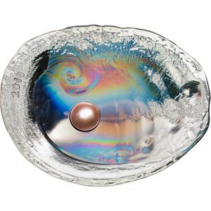 Palau / Silver Three Ounces 2016 Oyster - reverse photo
