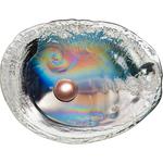 Silver Three Ounces 2016 Oyster: Photo Coin, Palau, Silver Three Ounces 2016 Oyster / thumbnail