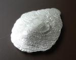 Five Dollars Silver 2011 Oyster: Photo Coin, Palau, Five Dollars Silver 2011 Oyster / thumbnail
