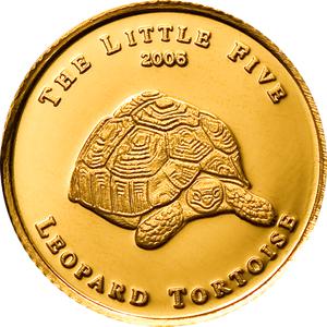 Palau / Gold Half Gram 2006 Leopard Tortoise - reverse photo