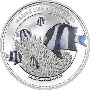 Palau / Five Dollars Silver 2015 Whitetail Damselfish - reverse photo