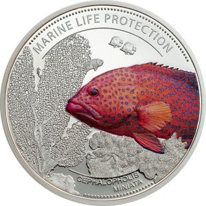 Palau / One Dollar 2016 Coral Hind - reverse photo