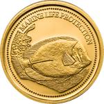 One Dollar Gold 2007 Surgeonfish: Photo Coin, Palau, One Dollar Gold 2007 Surgeonfish / thumbnail