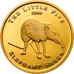Gold Half Gram 2006 Elephant Shrew: Photo Coin, Palau, Gold Half Gram 2006 Elephant Shrew / thumbnail