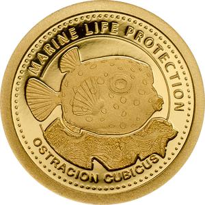Palau / One Dollar Gold 2014 Yellow Boxfish - reverse photo