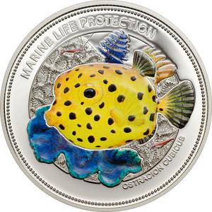 Palau / Five Dollars Silver 2014 Yellow Boxfish - reverse photo