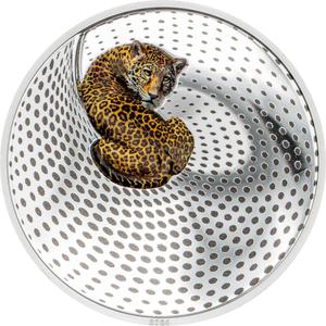 Palau / Silver Three Ounces 2024 Camouflage of Nature - Leopard - reverse photo