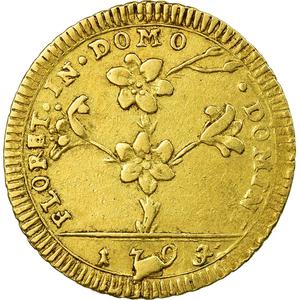 Papal States / Thirty Paoli 1793 - reverse photo