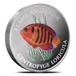 Pitcairn Islands / Silver Five Ounces 2025 Flame Angelfish - reverse photo