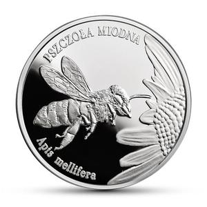 Poland / Twenty Zloty 2015 Honeybee - reverse photo