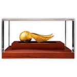 Silver Three Ounces 2022 Golden Snitch: Photo Coin, Samoa, Silver Three Ounces 2022 Golden Snitch / thumbnail