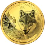 Gold Half Gram 2021 Predators - Canis Lupus: Photo 2021 Senegal .9999 Gold Coin - Wolf - Canis Lupus / thumbnail