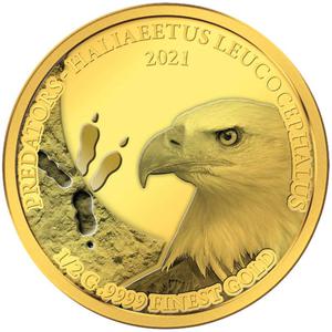 Senegal / Gold Half Gram 2021 Predators - Hiliaeetus Leucocephalus - reverse photo