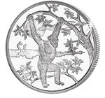 One Leone 2006 Chimpanzee: Photo Coin, Sierra Leone, One Leone 2006 Chimpanzee / thumbnail