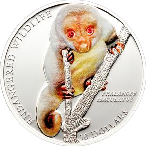 Solomon Islands / Ten Dollars Silver 2010 Common Spotted Cuscus - reverse photo