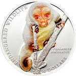 Ten Dollars Silver 2010 Common Spotted Cuscus: Photo Coin, Solomon Islands, Ten Dollars Silver 2010 Common Spotted Cuscus / thumbnail