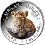 Somalia / Silver Ounce 2025 African Wildlife - Leopard / Coloured Reverse - reverse photo