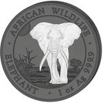 Somalia / Silver Ounce 2025 African Wildlife - Elephant - reverse photo