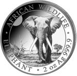 Somalia / Silver Two Ounces 2025 African Wildlife - Elephant - reverse photo