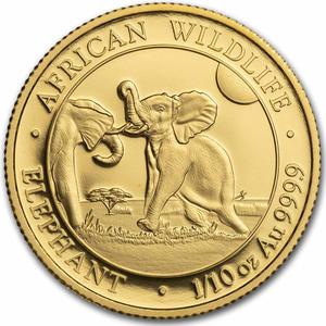 Somalia / Gold Tenth-Ounce 2024 African Wildlife - Elephant - reverse photo