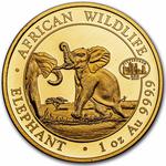 Somalia / Gold Ounce 2023 African Wildlife - Elephant, ANA - reverse photo