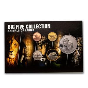 Somalia / Five Shillings 2013 Cape Buffalo - obverse photo