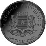 Somalia / Silver Ounce 2025 African Wildlife - Elephant - obverse photo