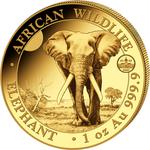 Somalia / Gold Ounce 2025 African Wildlife - Elephant / World Money Fair Berlin Privy Mark - reverse photo