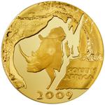 Gold Tenth-Ounce 2009 Natura - Rhino: Photo Coin, South Africa, Gold Tenth-Ounce 2009 Natura - Rhino / thumbnail
