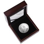Silver Five Ounces 2025 Krugerrand: Photo Coin, South Africa, Silver Five Ounces 2025 Krugerrand / thumbnail