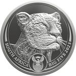 Silver Five Ounces 2023 Big Five - Leopard: Photo Big Five II (4.) - Leopard - 2023 5 Oz Silver - Premium Uncirculated / thumbnail