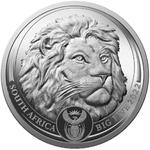 Silver Kilo 2022 Big Five - Lion: Photo Big Five II (2.) - Lion - 2022 1 Kilo Silver - Premium Uncirculated / thumbnail