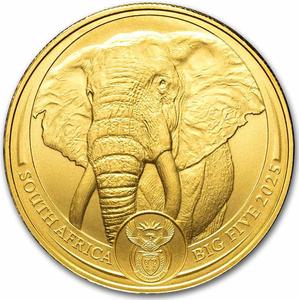 South Africa / Gold Ounce 2025 Big Five - Elephant - obverse photo