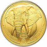 South Africa / Gold Ounce 2025 Big Five - Elephant - obverse photo