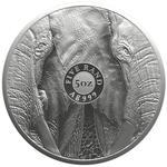 Silver Five Ounces 2024 Big Five - Elephant: Photo Coin, South Africa, Silver Five Ounces 2024 Big Five - Elephant / thumbnail