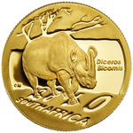 Gold Quarter Ounce 2010 Natura - Rhino: Photo Coin, South Africa, Gold Quarter Ounce 2010 Natura - Rhino / thumbnail