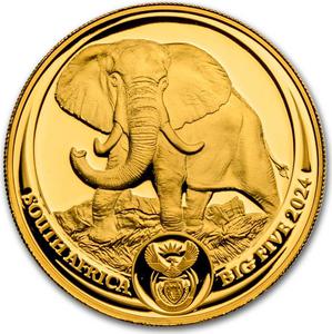 South Africa / Gold Quarter Ounce 2024 Big Five - Elephant - obverse photo
