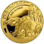 Gold Ounce 1996 Natura - Elephant: Photo Coin, South Africa, Gold Ounce 1996 Natura - Elephant / thumbnail