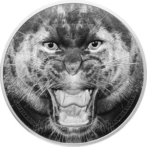 Tanzania / Silver Two Ounces 2016 Black Panther - reverse photo
