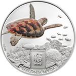 One Hundred Shillings 2016 Green Sea Turtle: Photo Coin, Tanzania, One Hundred Shillings 2016 Green Sea Turtle / thumbnail