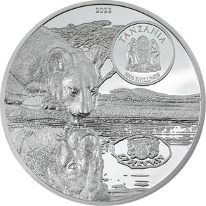 Tanzania / Silver Five Ounces 2022 Lions - obverse photo