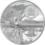 Silver Five Ounces 2022 Lions: Photo Coin, Tanzania, Silver Five Ounces 2022 Lions / thumbnail
