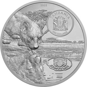 Tanzania / Silver Two Ounces 2021 Lions - obverse photo