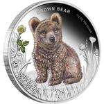 Silver Half Ounce 2013 Brown Bear: Photo Coin, Tuvalu, Silver Half Ounce 2013 Brown Bear / thumbnail