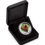 Silver Ounce 2011 Orangutan: Photo Coin, Tuvalu, Silver Ounce 2011 Orangutan / thumbnail