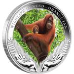 Silver Ounce 2011 Orangutan: Photo Coin, Tuvalu, Silver Ounce 2011 Orangutan / thumbnail