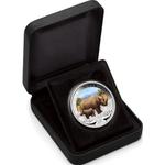 Silver Ounce 2012 Black Rhinoceros: Photo Coin, Tuvalu, Silver Ounce 2012 Black Rhinoceros / thumbnail