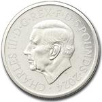 United Kingdom / Silver Two Ounces 2024 Waterloo Medal / Matt proof - obverse photo