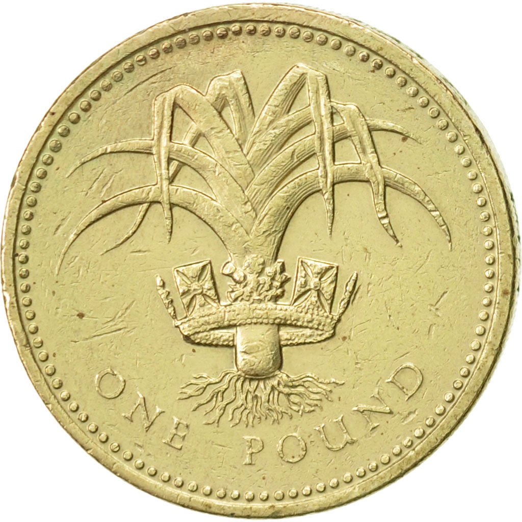 One Pound 1990 Leek And Diadem Coin From United Kingdom Online Coin Club