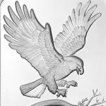 Silver Ten Ounces Bar - SilverTowne Eagle: Photo Coin, United States, Silver Ten Ounces Bar - SilverTowne Eagle / thumbnail